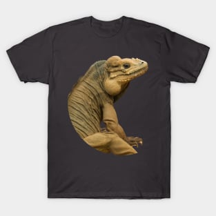 Handsome Rhinoceros Iguana T-Shirt